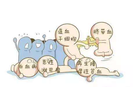造血干细胞移植