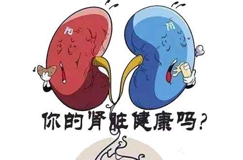 慢性肾炎