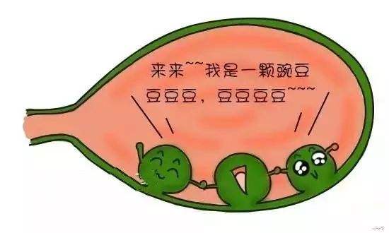 胆囊息肉