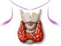 甲状腺乳头状癌