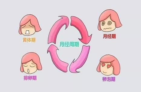 月经期