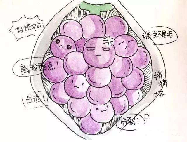 侵蚀性葡萄胎