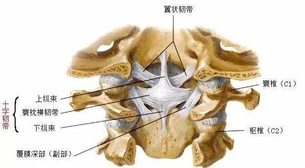 黄韧带肥厚症