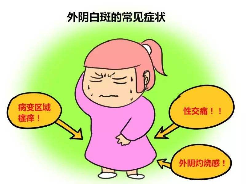 外阴白斑