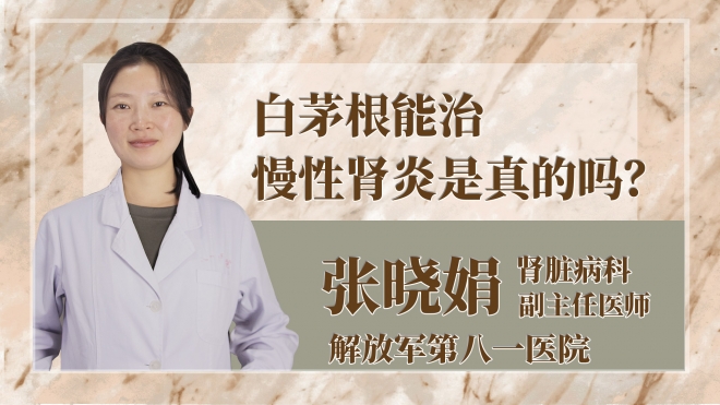 白茅根能治慢性肾炎是真的吗？